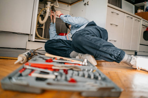 Best Plumbing Inspection Services  in North Auburn, CA